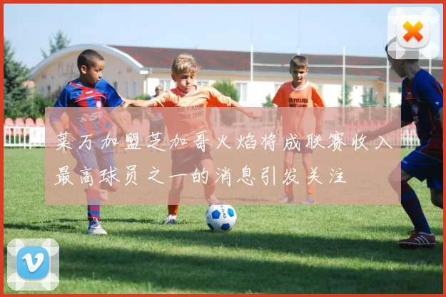 莱万加盟芝加哥火焰将成联赛收入最高球员之一的消息引发关注